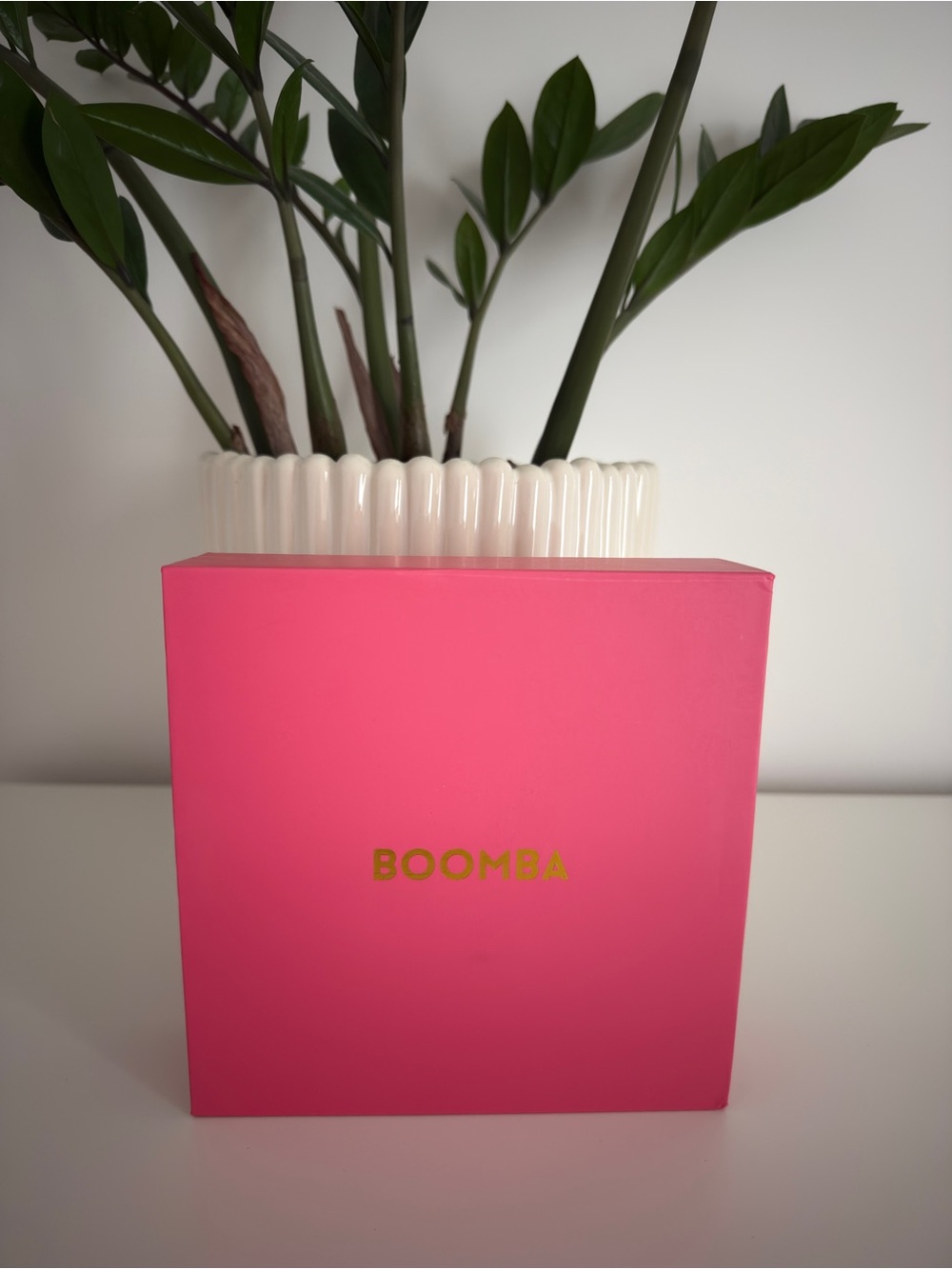 BOOMBA Invisibra Sticky Bra Beige Size B – New in Box